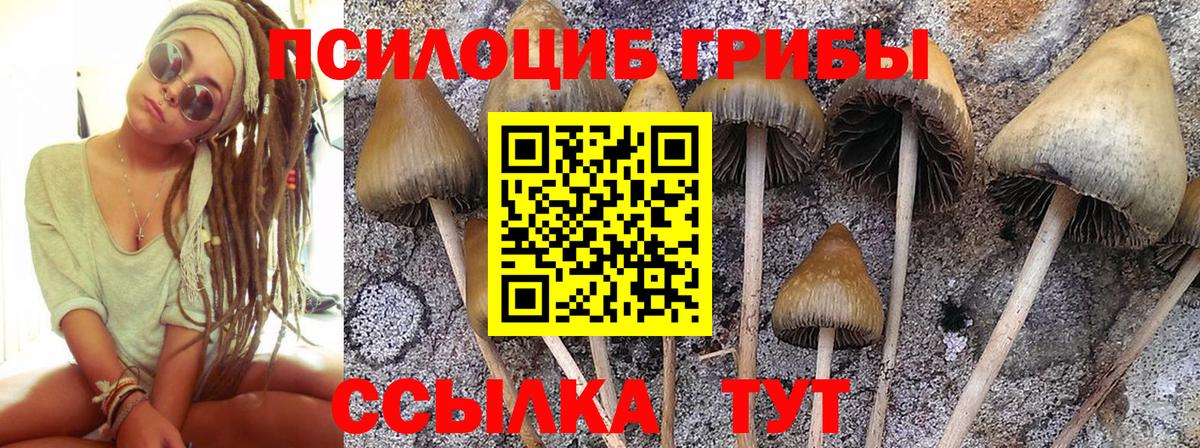 Галлюциногенные грибы MAGIC MUSHROOMS Дивногорск