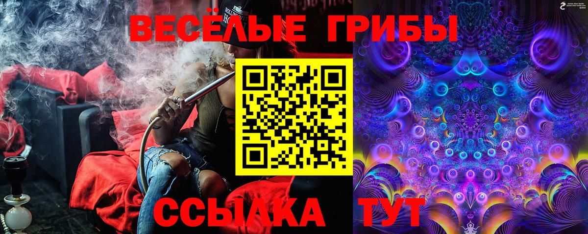 цены   Вход с VPN  Дивногорск  Псилоцибиновые грибы прущие грибы 